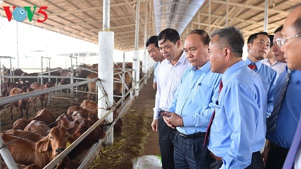 Binh Thuan to become Vietnam’s clean energy center - ảnh 1